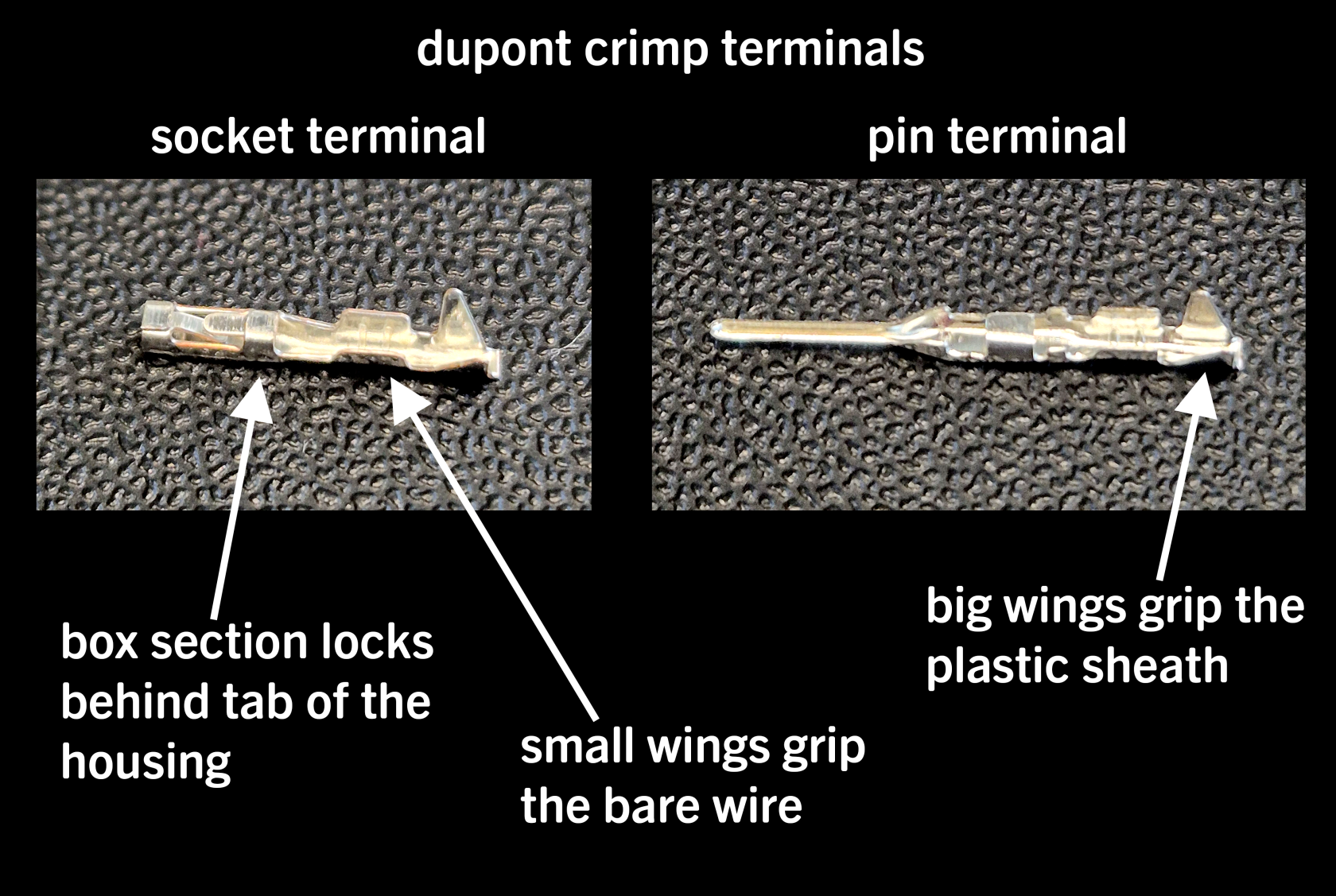 dupont_terminal_anatomy.png